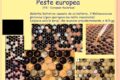 Qualcosa sulla Peste europea